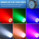 HOLDLAMP ZQ-01510 LUZ PAR RGBWA+UV DMX 12 LED x 5W