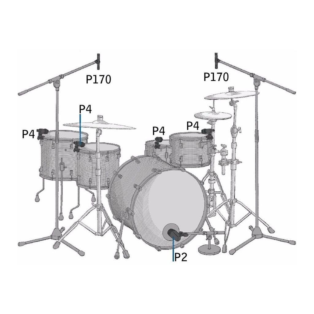 AKG P170 Micrófonos Cardiode de Condensador Instrumentos Musicales